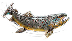 Trout Decal
